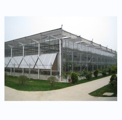 Maximize Harvest Super Strong Resistance Multi Span Agricultural Greenhouses