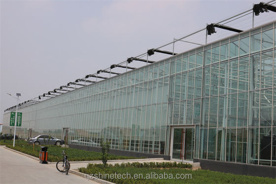 Maximize Harvest Super Strong Resistance Multi Span Agricultural Greenhouses