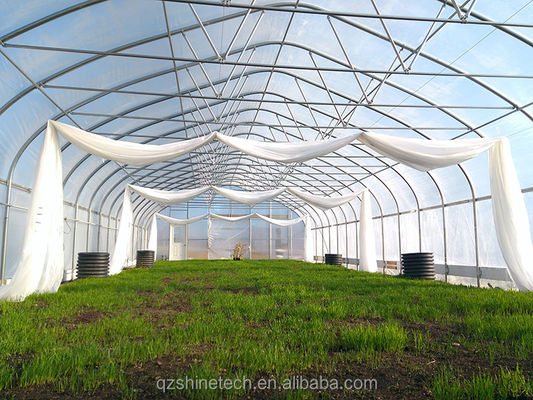 Small High Tunnel Film Greenhouse For Growing Tomatoes 6m-10m Width