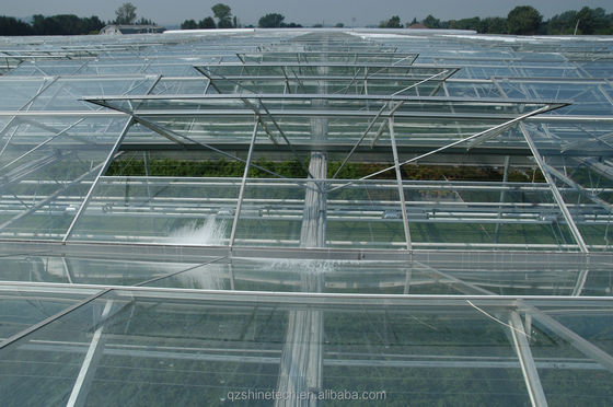 Maximize Harvest Super Strong Resistance Multi Span Agricultural Greenhouses