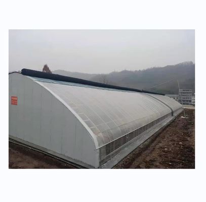 Single Span Agricultural Greenhouses With Warming Quilt Insulation System