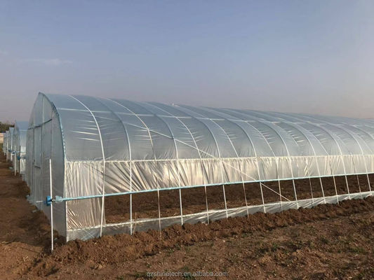 Small High Tunnel Film Greenhouse For Growing Tomatoes 6m-10m Width