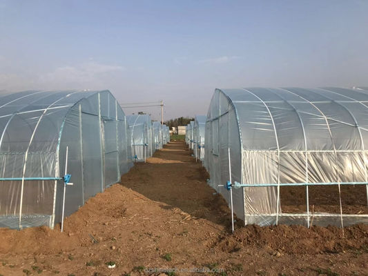 Small High Tunnel Film Greenhouse For Growing Tomatoes 6m-10m Width