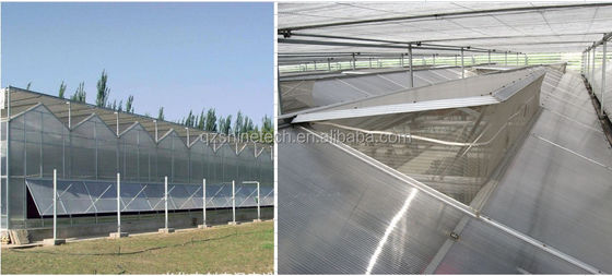 4m Bay Width Polycarbonate Greenhouse Installation Drawing and Galvanized Steel Frame
