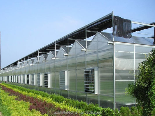 4m Bay Width Polycarbonate Greenhouse Installation Drawing and Galvanized Steel Frame