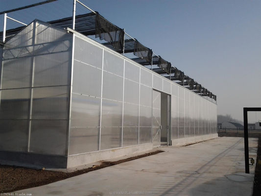 4m Bay Width Polycarbonate Greenhouse Installation Drawing and Galvanized Steel Frame