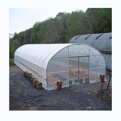 Tomato Hydroponic Agricultural Greenhouse For Enhanced Yield In Single Span Design