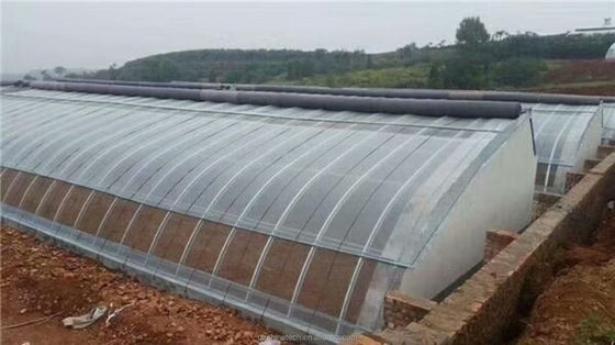 Single Span Agricultural Greenhouses With Warming Quilt Insulation System