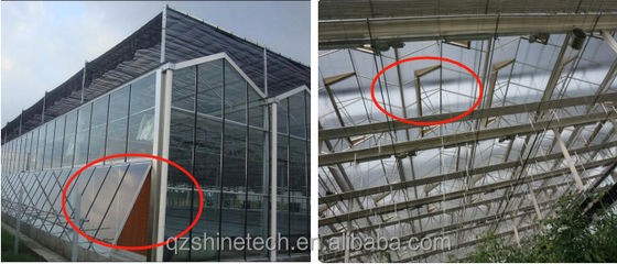 8m 9.6m 12m Span Width Multispan Greenhouse With Hydroponic System And Glass Structure