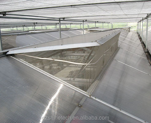 Industrial Polycarbonate Sheet Greenhouses Ideal for Growing Vegetable Fruits Flowers