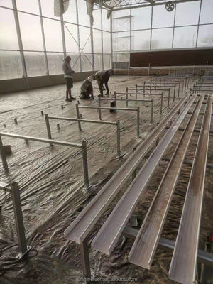Industrial Polycarbonate Sheet Greenhouses Ideal for Growing Vegetable Fruits Flowers