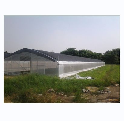 150/200micro Film High Tunnel Agricultural Greenhouse for Tomato Hydroponic Growing