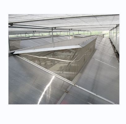 Prefab Agricultural Greenhouses with Industrial Polycarbonate Sheets and Cooling System