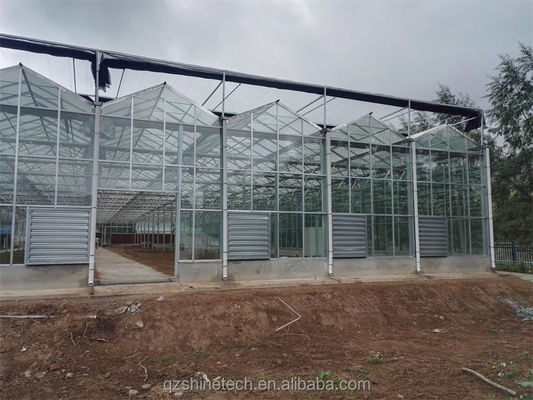 Galvanized Steel Frame Glass Covered Agriculture Greenhouse with Installation Drawing