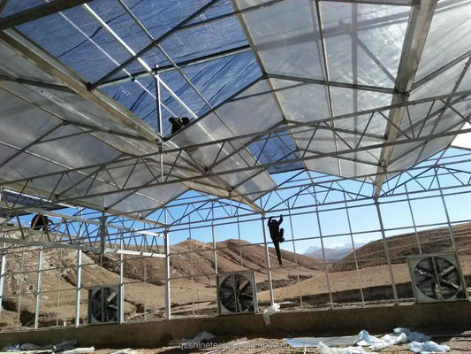 Prefab Agricultural Greenhouses with Industrial Polycarbonate Sheets and Cooling System