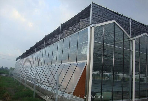 Galvanized Steel Frame Glass Covered Agriculture Greenhouse with Installation Drawing