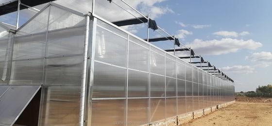 Prefab Agricultural Greenhouses with Industrial Polycarbonate Sheets and Cooling System