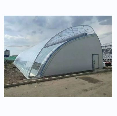 Length 50-120m Double Insulated Commercial Solar Greenhouse for Winter and Cold Areas