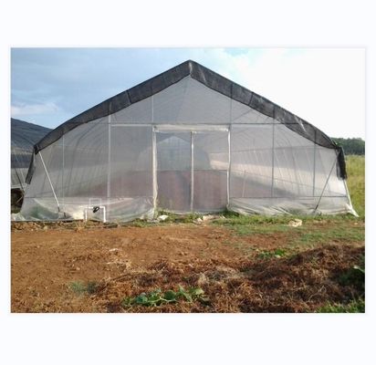 150/200micro Film Covered Tunnel Greenhouse For Hydroponic Tomato Growing