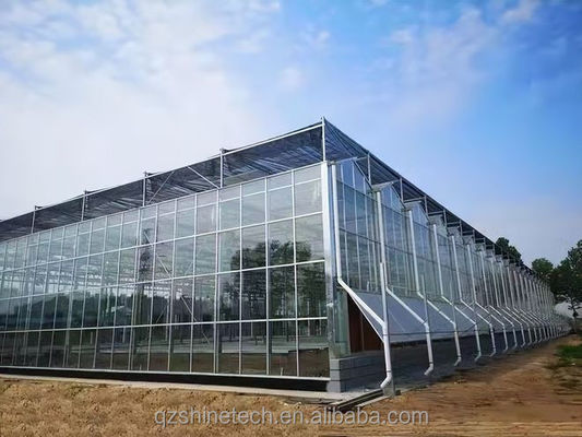 Super Strong Resistance Venlo Glass Greenhouse for Commercial Agricultural Turnkey Project
