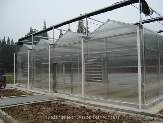 Vegetable Fruits And Flowers Multi Span Agricultural Greenhouse With Tempered Glass