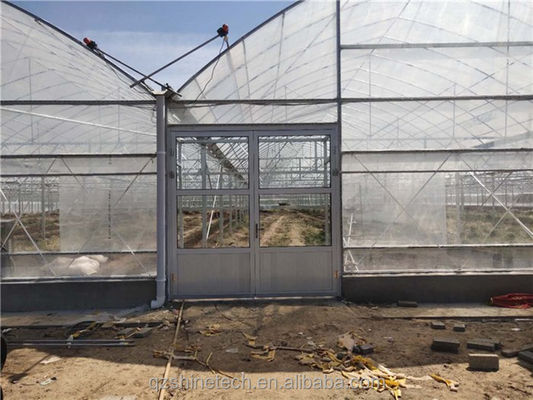 Intelligent Greenhouse For Tomato Cultivation Multi Span Film Green House By Shine Tech
