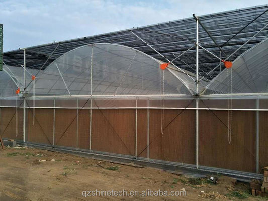 Intelligent Greenhouse For Tomato Cultivation Multi Span Film Green House By Shine Tech