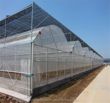 Intelligent Greenhouse For Tomato Cultivation Multi Span Film Green House By Shine Tech