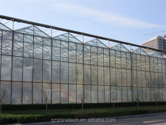 Multi Span Glass Greenhouse Agricultural Equipment for Vegetable Fruits and Flowers
