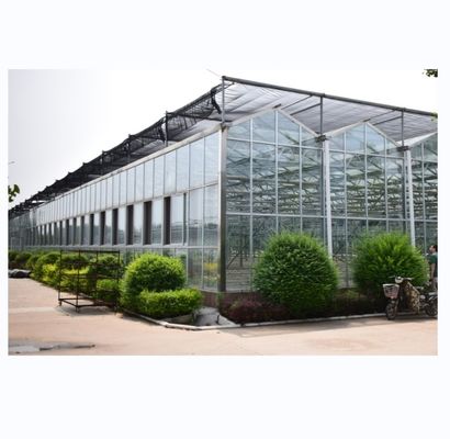 Glass Cover NFT Hydroponic Growing Systems The Ultimate Solution for Vertical Farming