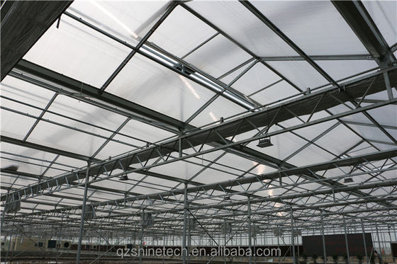 8mm PC Sheet Multi Span Agricultural Greenhouses For Sustainable Agriculture