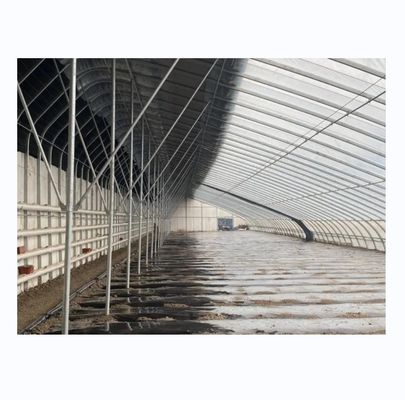 Solar Winter Greenhouses Warm Agricultural Greenhouse with Galvanized Steel Frame