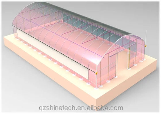 Film Cover 50x8m Single Span Type Agricultural Tunnel Greenhouse with 3.5-5M Height