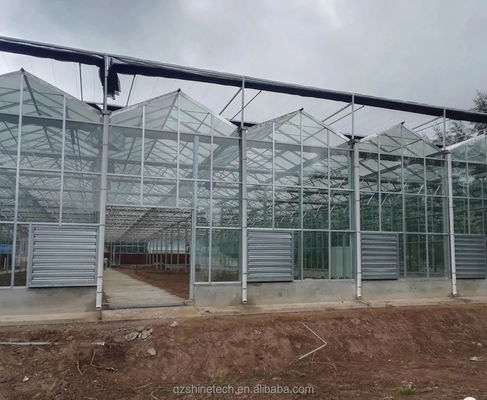 Glass Cover NFT Hydroponic Growing Systems The Ultimate Solution for Vertical Farming