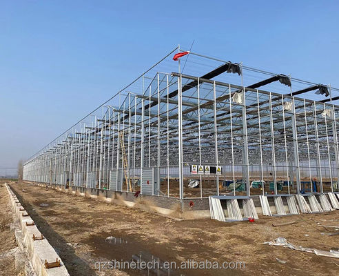 Glass Cover NFT Hydroponic Growing Systems The Ultimate Solution for Vertical Farming