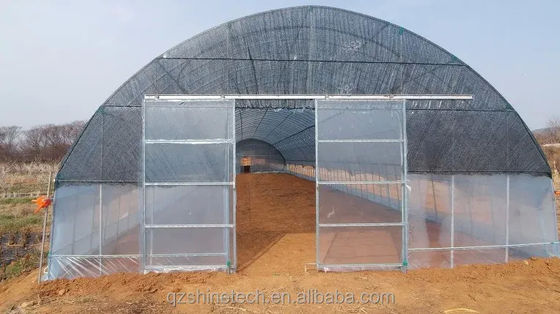Film Cover 50x8m Single Span Type Agricultural Tunnel Greenhouse with 3.5-5M Height