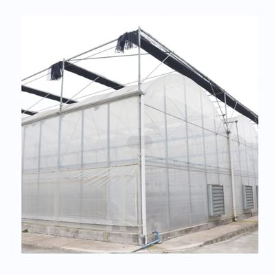 Optimal Irrigation Agricultural Multi Span Plastic Greenhouse for Single Layer Crops