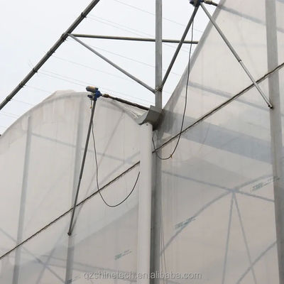 Optimal Irrigation Agricultural Multi Span Plastic Greenhouse for Single Layer Crops
