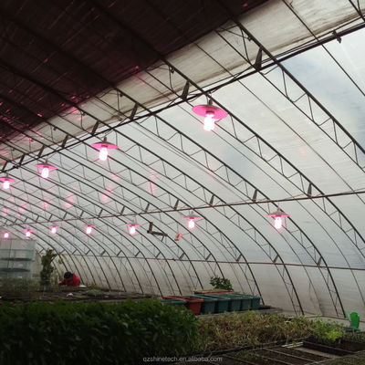 Solar Winter Greenhouses Warm Agricultural Greenhouse with Galvanized Steel Frame