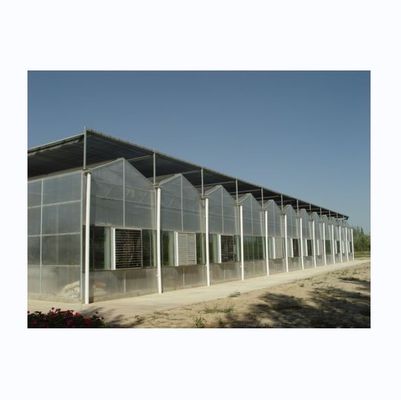 Super Strong Resistance 8mm Polycarbonate Covering Multi-Span Greenhouse for Tomatoes
