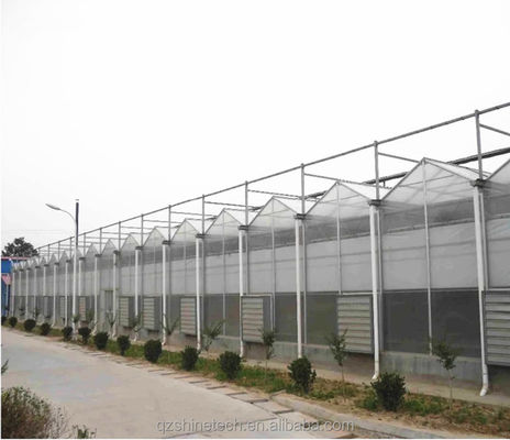 Super Strong Resistance 8mm Polycarbonate Covering Multi-Span Greenhouse for Tomatoes