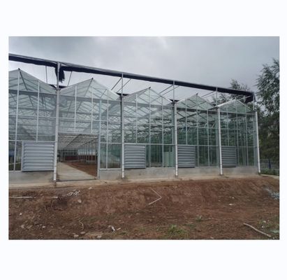 Tempered Glass Covered Agricultural Greenhouse for Growing Vegetables in Holland Frame