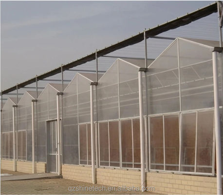 Super Strong Resistance 8mm Polycarbonate Covering Multi-Span Greenhouse for Tomatoes