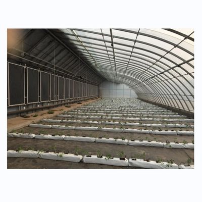 Small Energy Saving Passive Solar Greenhouse with Hot Dip Galvanized Steel Structure