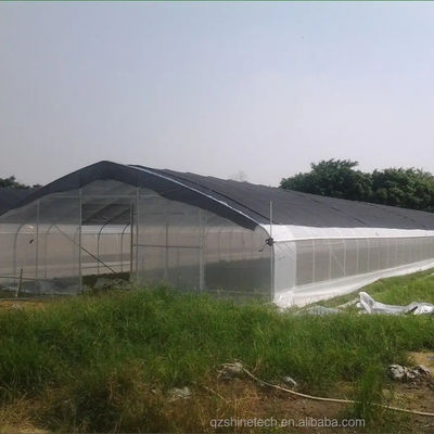 PE Tunnel Greenhouse for Hydroponic Tomato Cultivation Easy Assembly Length 10-100m