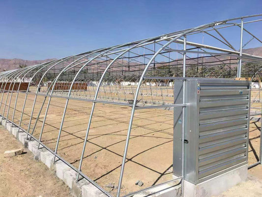PE Tunnel Greenhouse for Hydroponic Tomato Cultivation Easy Assembly Length 10-100m