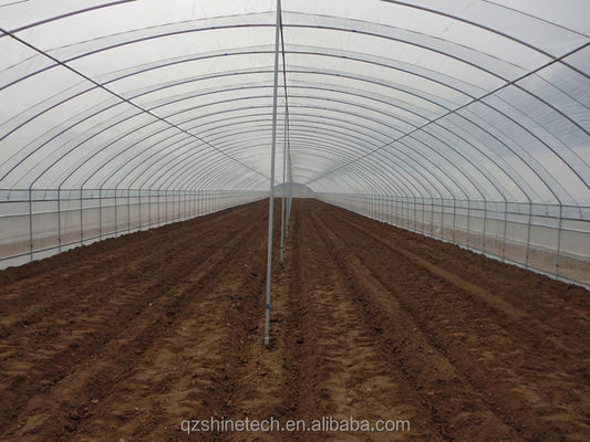 PE Tunnel Greenhouse for Hydroponic Tomato Cultivation Easy Assembly Length 10-100m