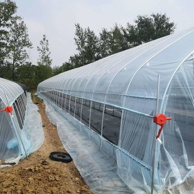 PE Tunnel Greenhouse for Hydroponic Tomato Cultivation Easy Assembly Length 10-100m