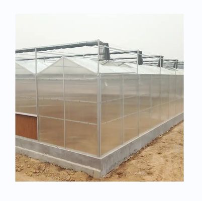 Super Strong Resistance Polycarbonate Greenhouse Full Set for Commercial Agriculture