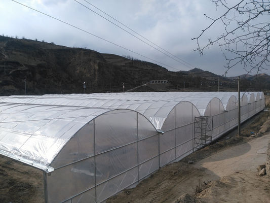 Hot Dip Galvanized Steel Tube Frame Multi Span Agricultural Greenhouse